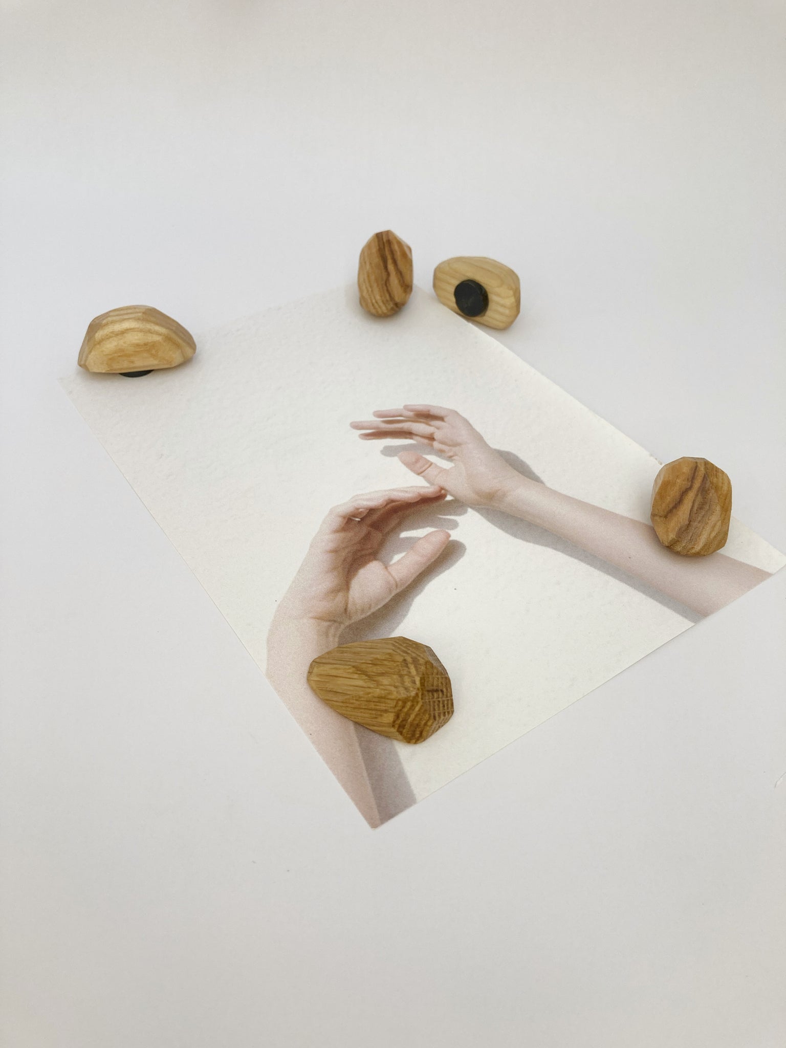 Timber magnets