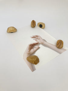 Timber magnets